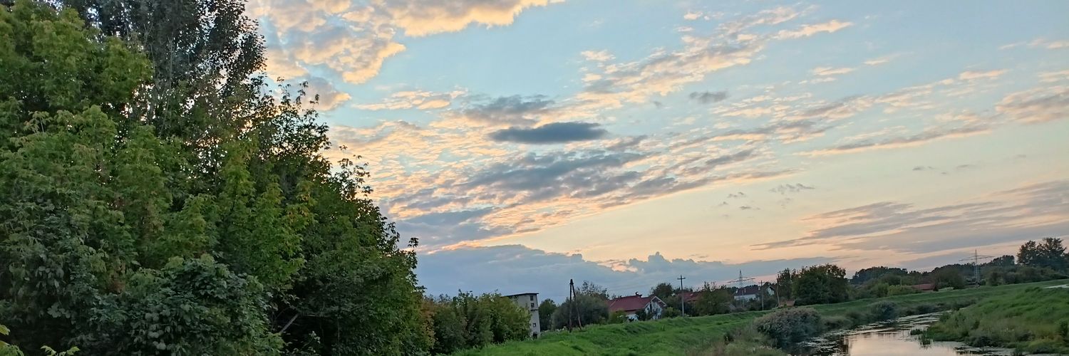 Tatijana Djordjevic's banner