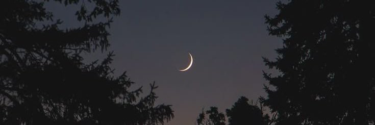 zeynepsi✨'s banner