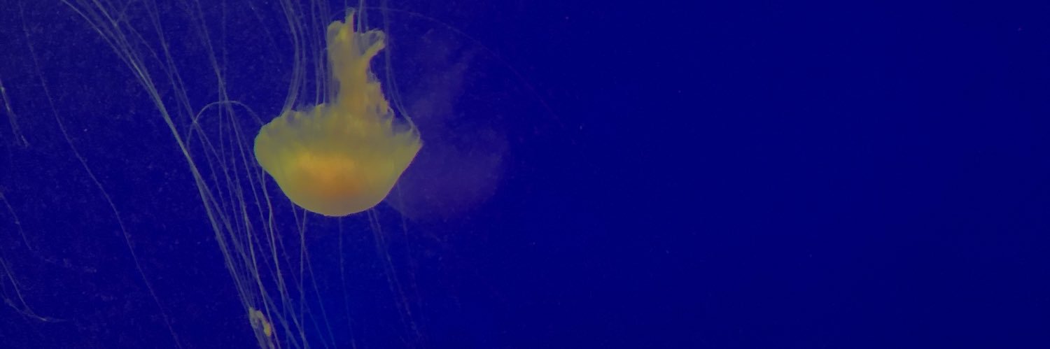 Niomi_lly's banner