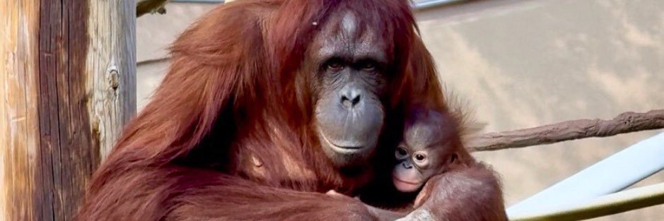 Utah's Hogle Zoo's banner