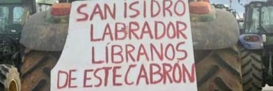 Elena's banner