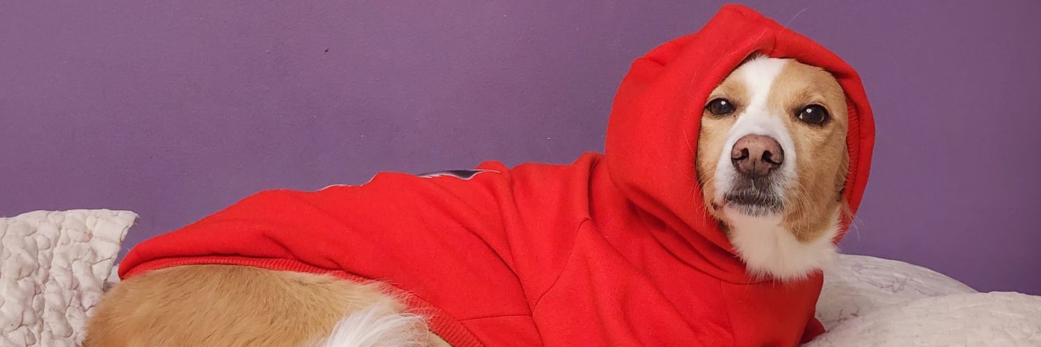 🕰 ∀ N ∀ I ˥ Ǝ 🕰's banner