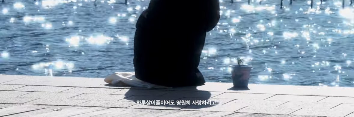 포레's banner