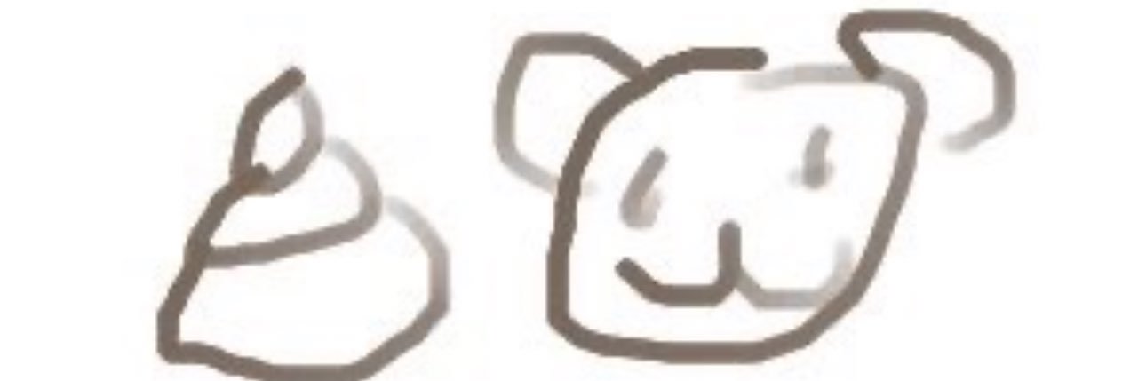 곰's banner