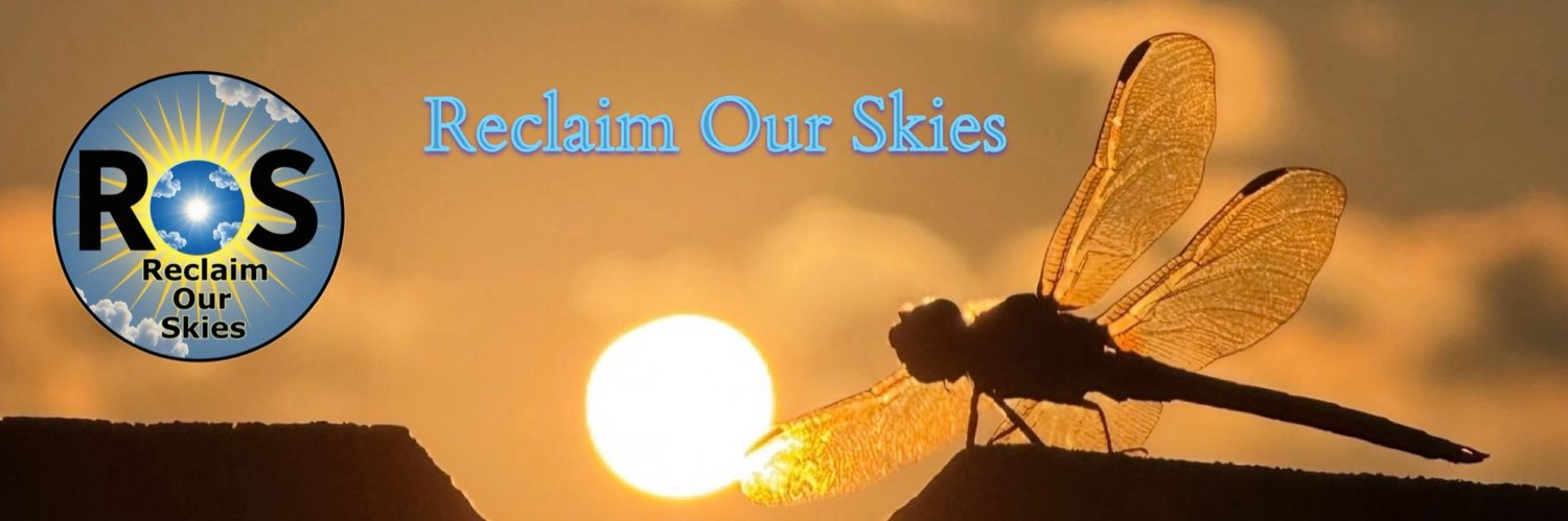 Kristy Legendre's banner