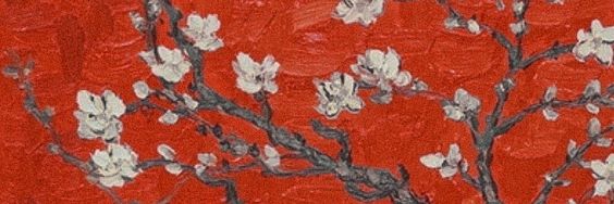 Amber's banner