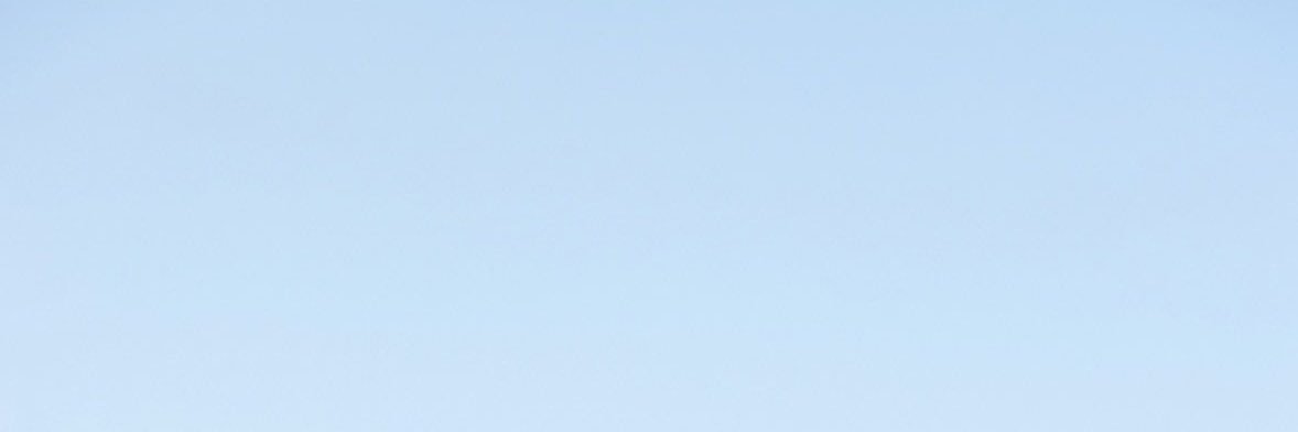 totto's banner