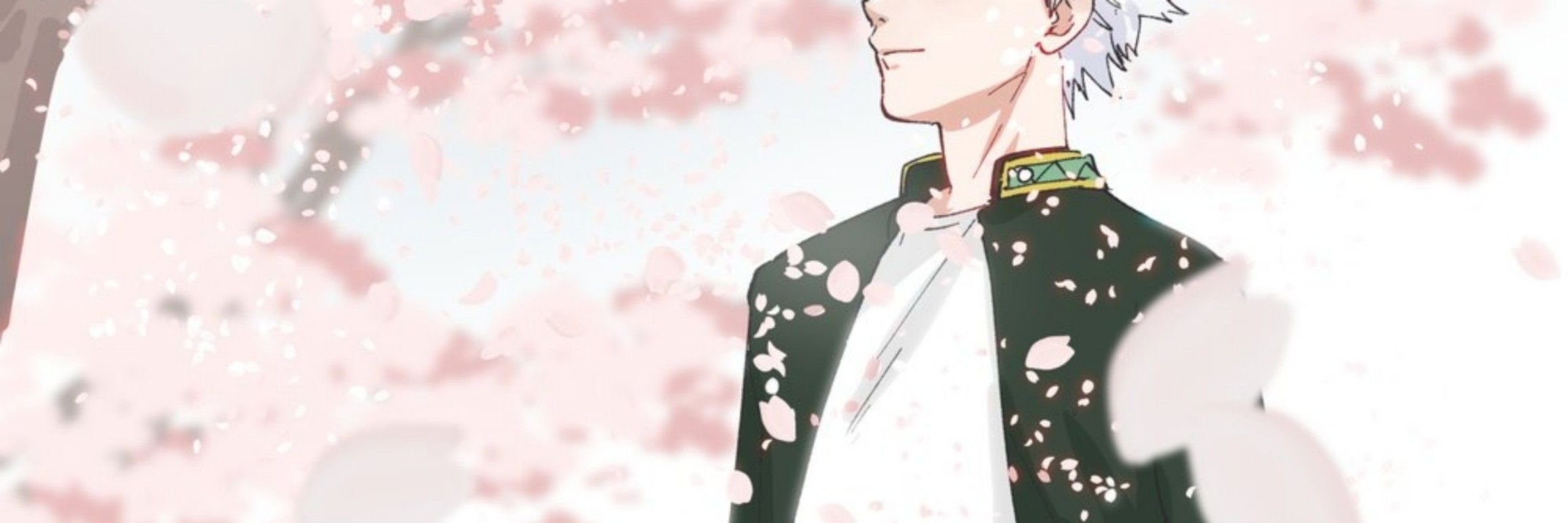daily sakura haruka !'s banner