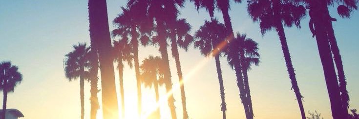 𓏲 whyvin? 🦄 ‧₊˚'s banner