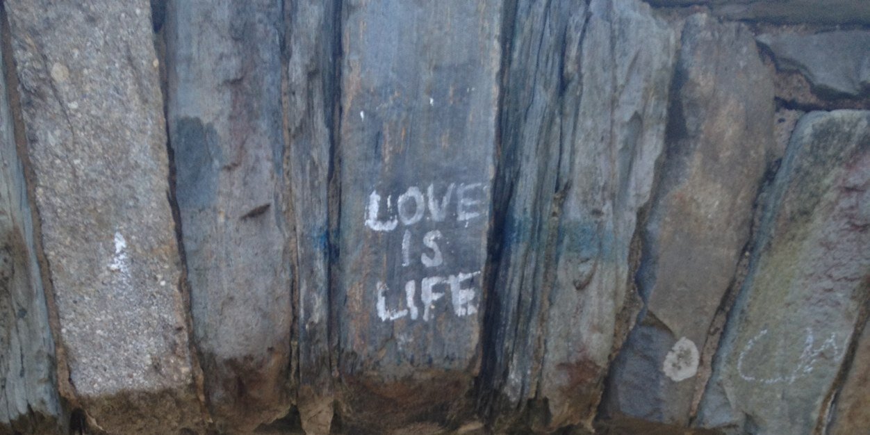 Ed McDonough's banner