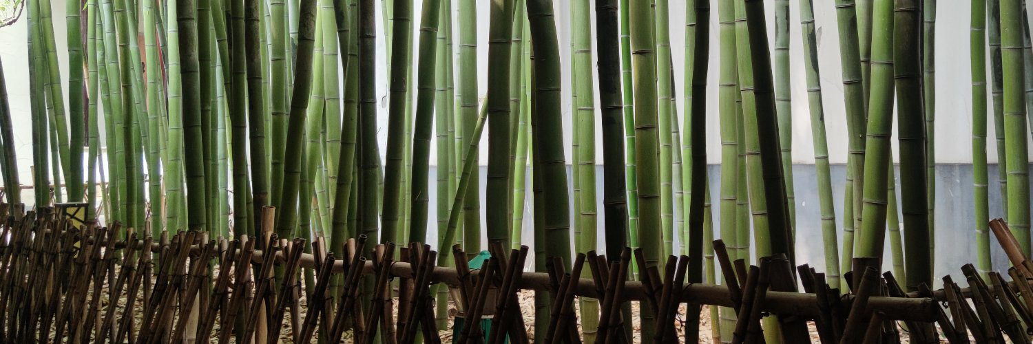 無名绳艺's banner