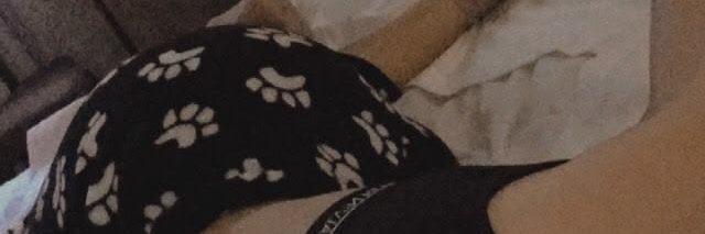 maddi's banner