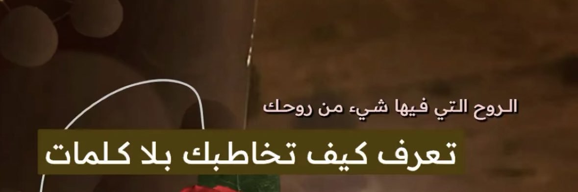 ريانه العود🎻's banner