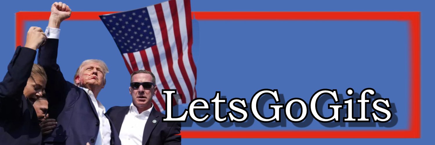 LetsGoGifs's banner