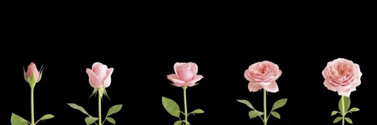 𝕋𝕙𝕖 𝔸𝕣𝕔𝕙𝕚𝕧𝕚𝕤𝕥's banner