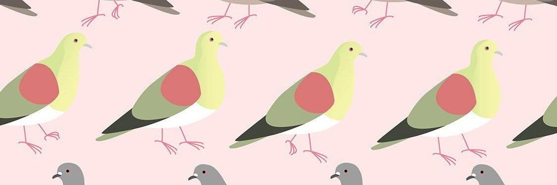 ハト📦️'s banner