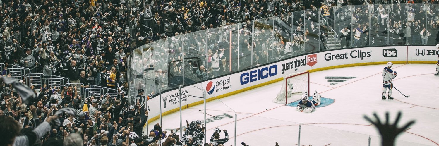 Toxic Kings Fan's banner