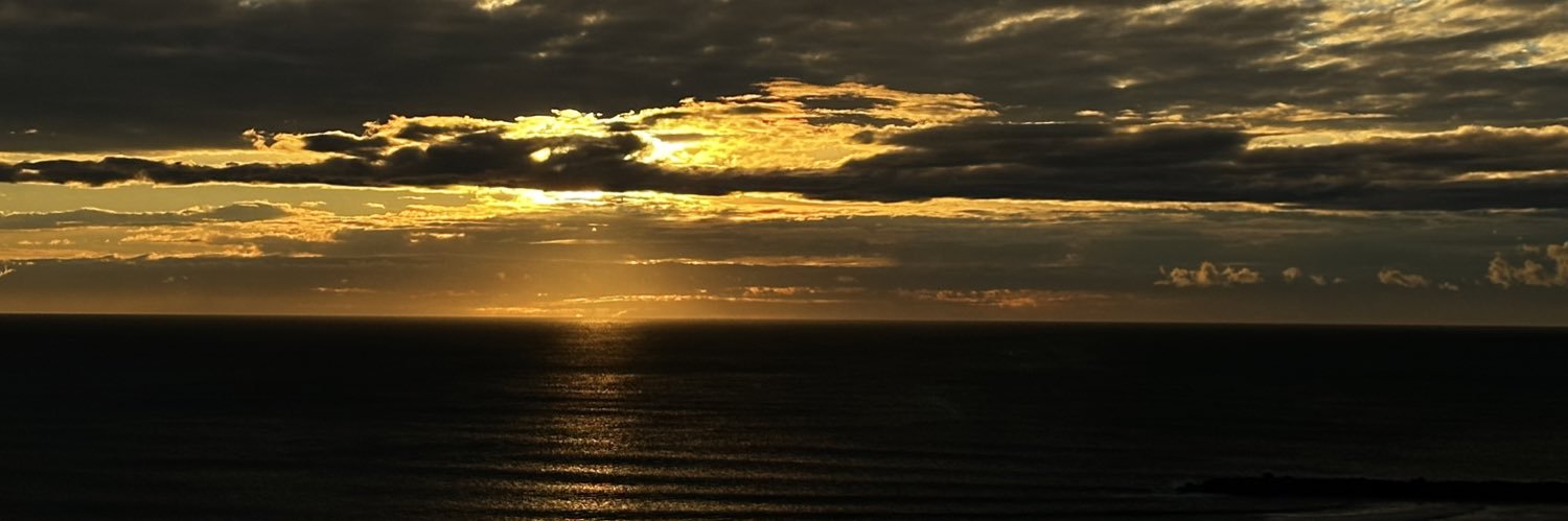 Carito's banner