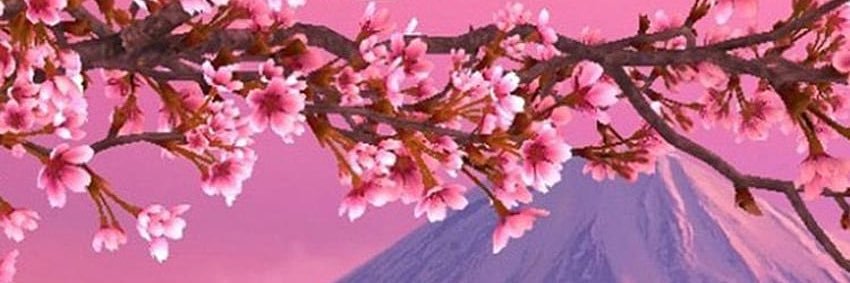 𝐂𝐇𝐔𝐍-𝐋𝐈's banner