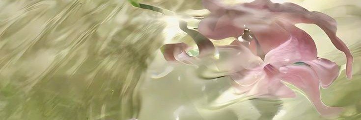 𖥔 ࣪˖'s banner