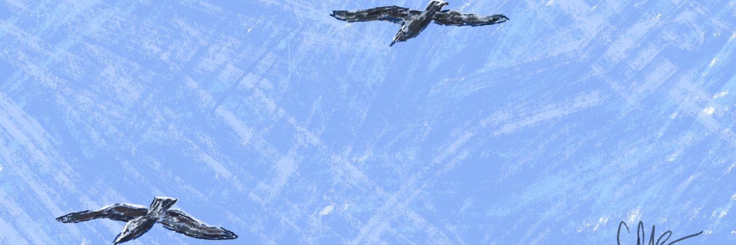 clau ✮'s banner