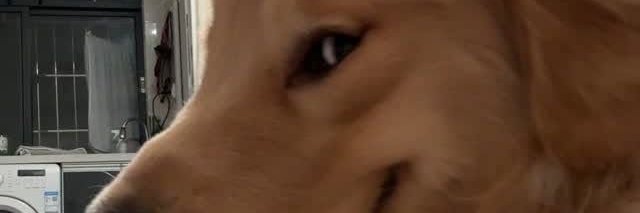 Redsaucepasta's banner
