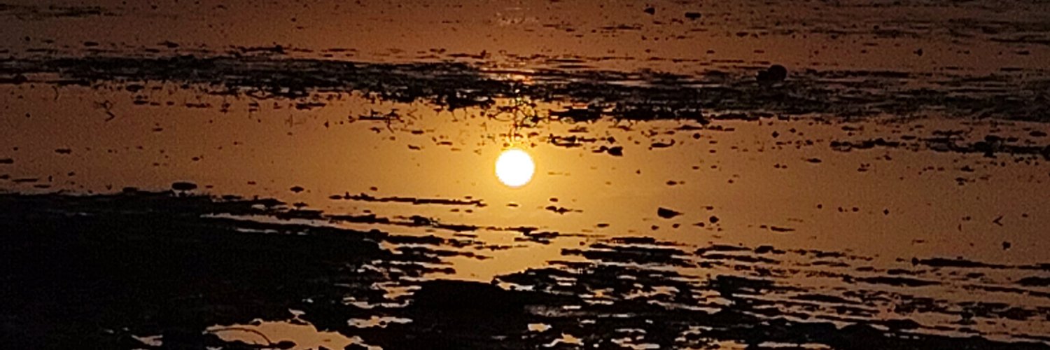Redsaucepasta's banner