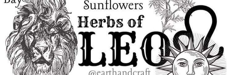 Hellkat109's banner