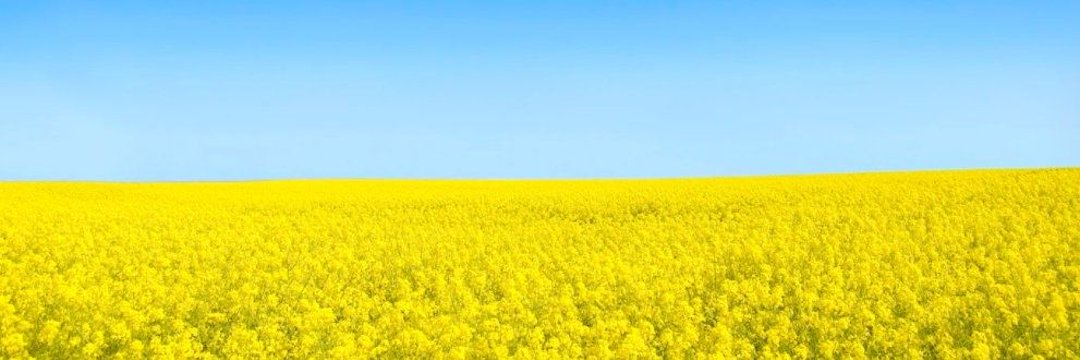 Diag 🇺🇦🇪🇺🇬🇱📯's banner