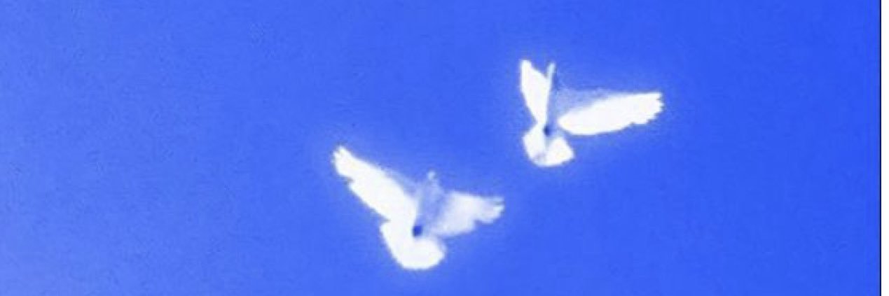 YungPut1n's banner