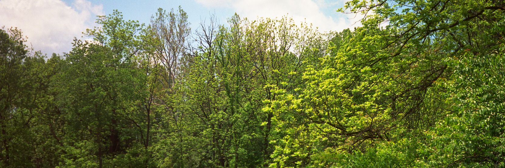 ʏᴏᴜʀ ᴘᴀʟ, ᴅᴀᴋᴏᴛᴀ's banner