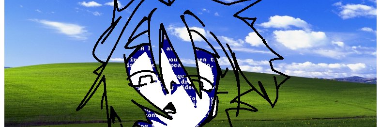 SH88's banner