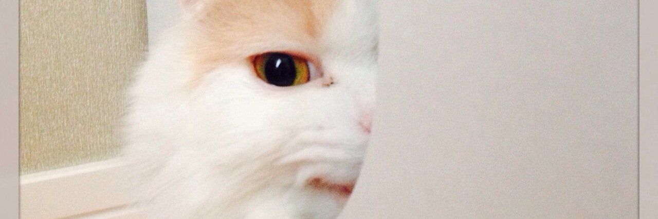 ɐpıɥsıu🌗ıɯɐɯɐʇ's banner