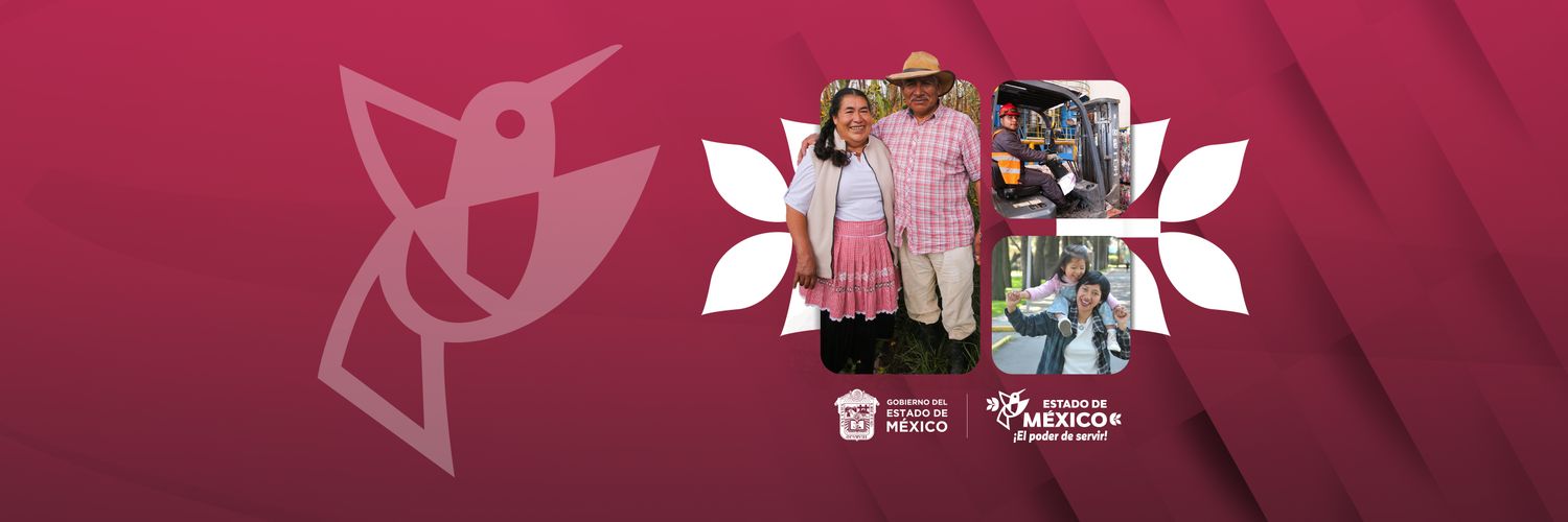 Gobierno del Estado de México's banner