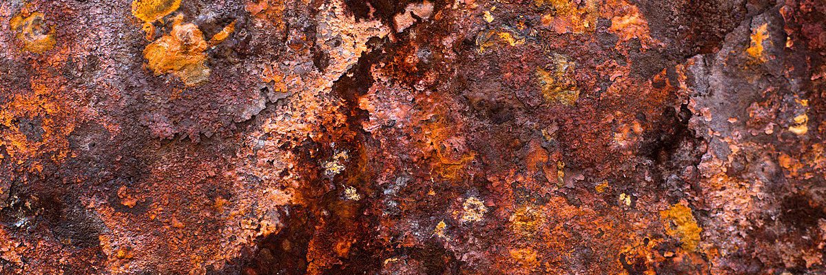 TLT archive's banner