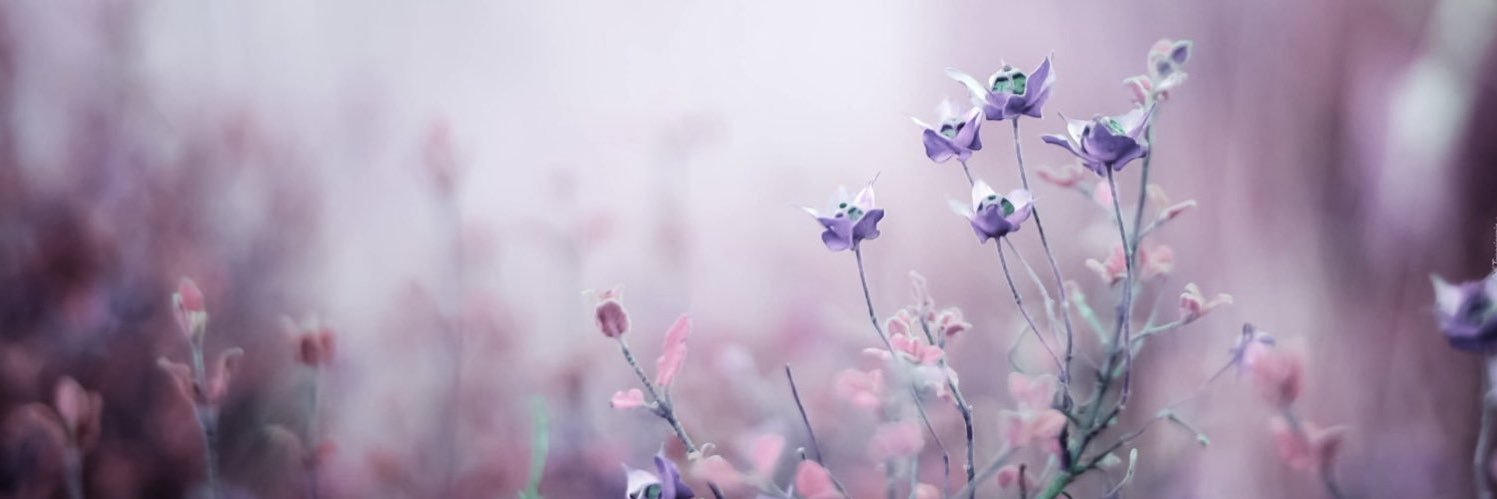 Sie_Nie_Spinaj's banner