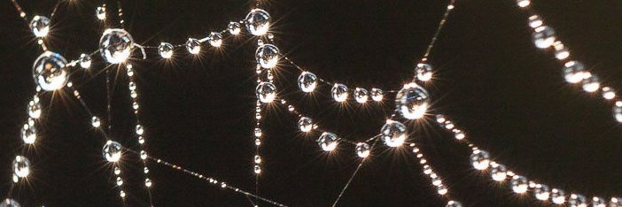 Luxi 🦇✨'s banner