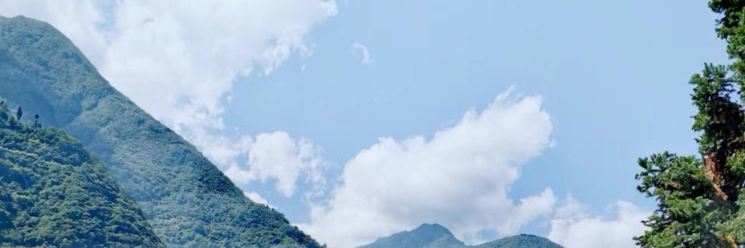 PermaDAO🐘's banner
