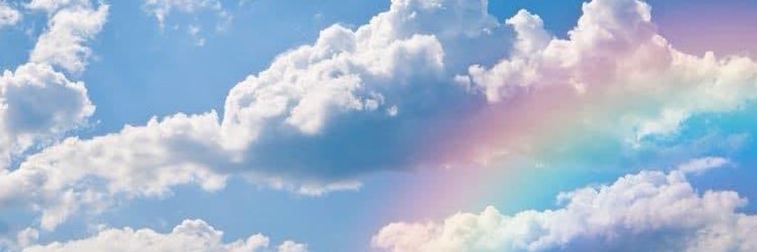 nanu's banner