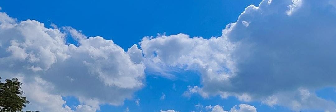 𝓜𝓪𝓻𝓲𝓮𝓶's banner