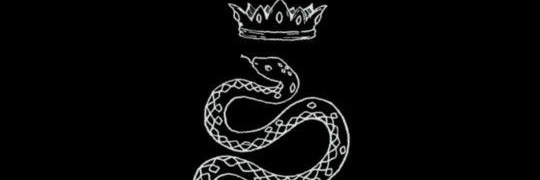 Nocti💀🐍's banner