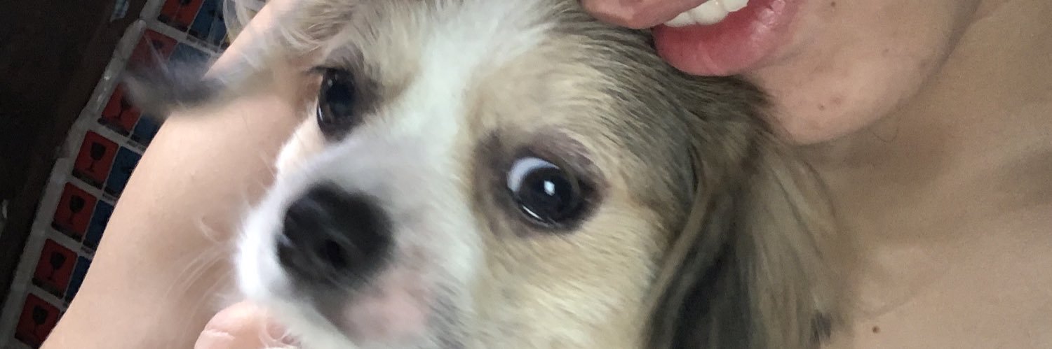 Peachie's banner