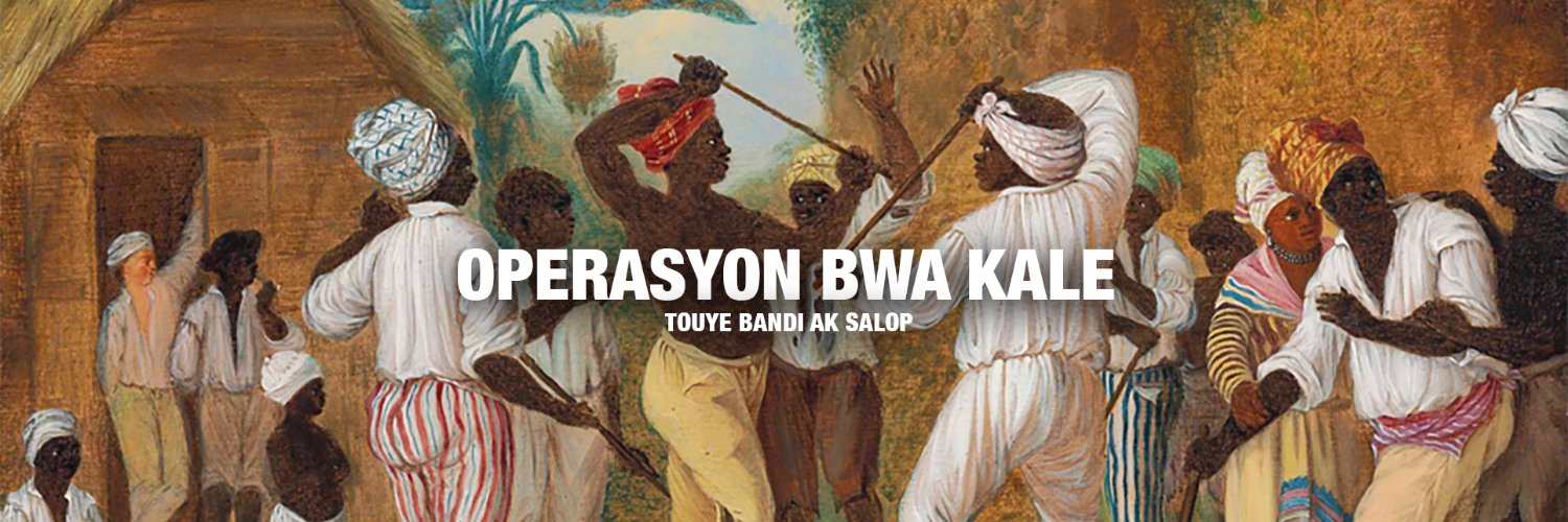 Bettinna ⚔️ 🇭🇹's banner
