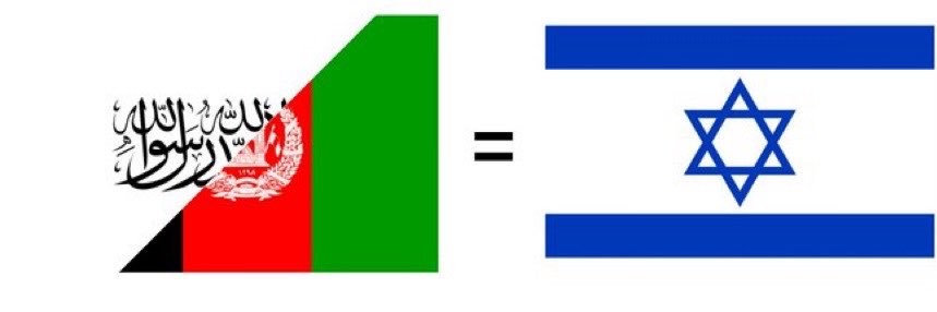 Z 🇵🇰's banner