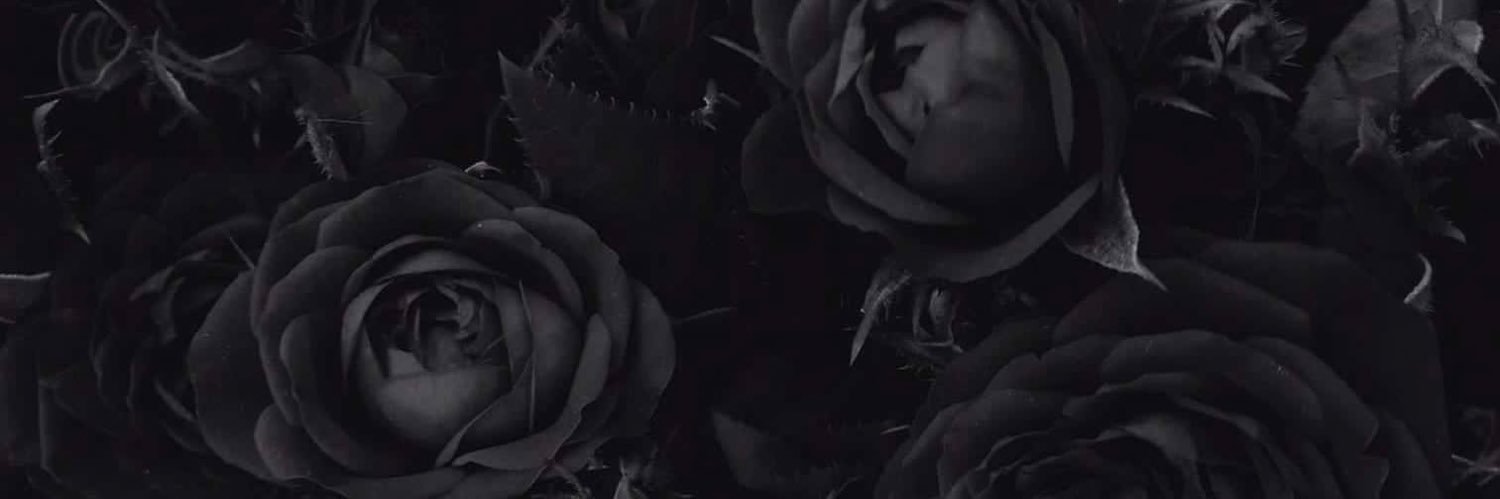 Daisy Darling's banner