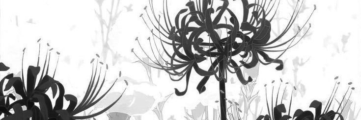 killu's banner