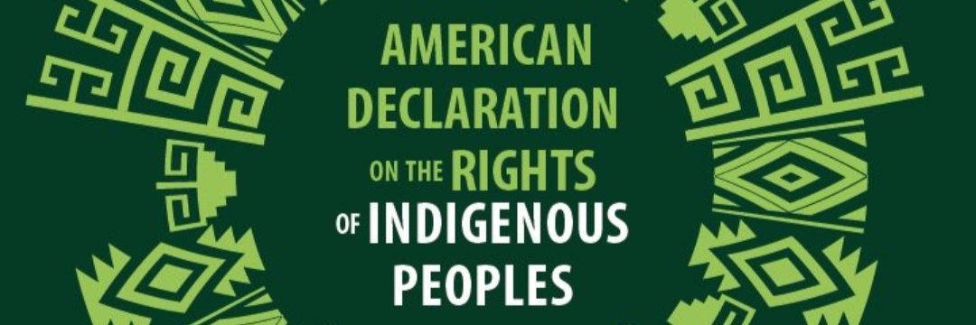Ancient American Indian,1st People/Negroes's banner