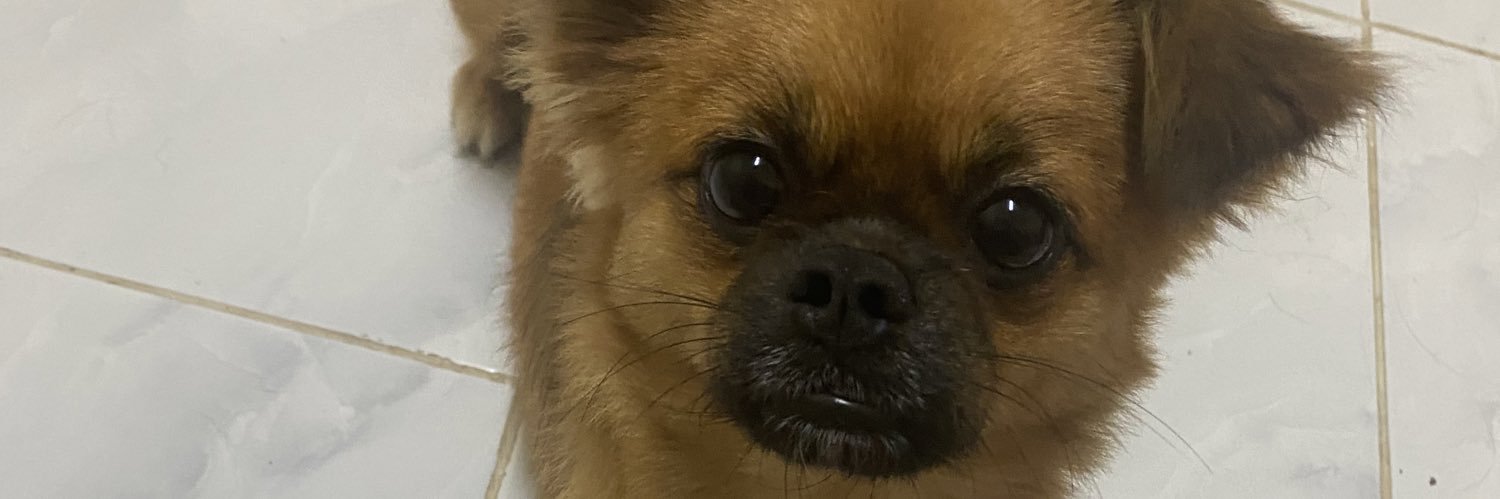 lnfinity___🫶🧋🐶's banner