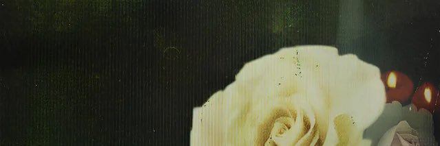 digzz's banner