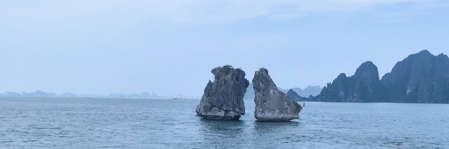 Mạnh Vượng HP's banner